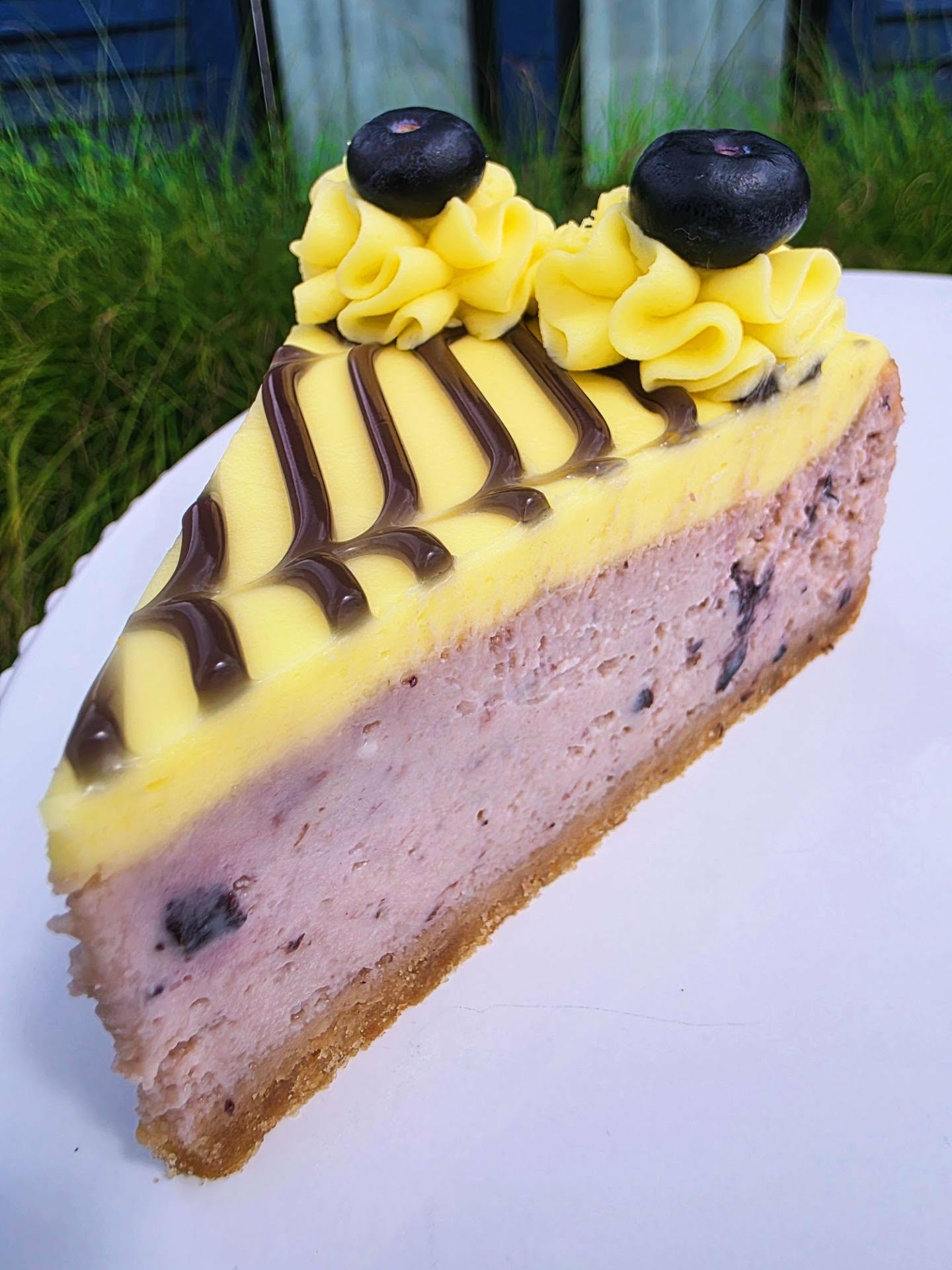 Lemon-Blueberry-Deluxe-Cheesecake